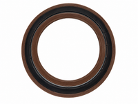 Retentor do Virabrequim Lado Volante Lombardini 9LD 561-2 Original
