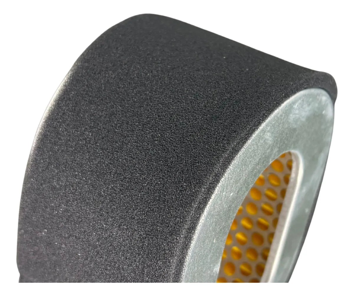 Elemento Filtro de Ar Branco BD10 / BD13